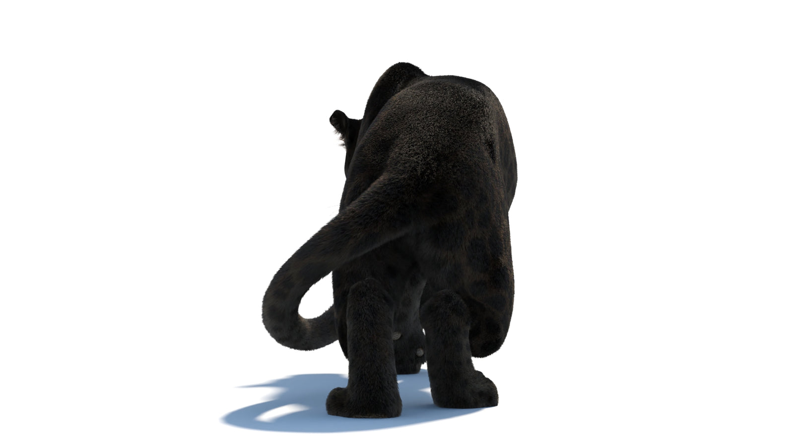 Black Panther 3D Model Rigged Fur 360° view 3 frame 27