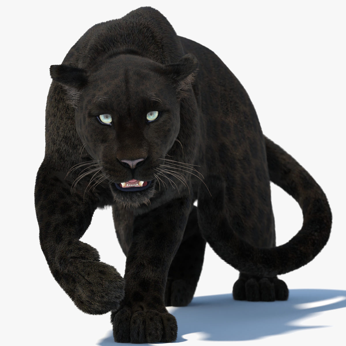 Rigged Black Panther 3D Model with Fur