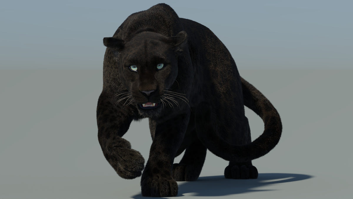 Rigged Black Panther 3D Model with Fur