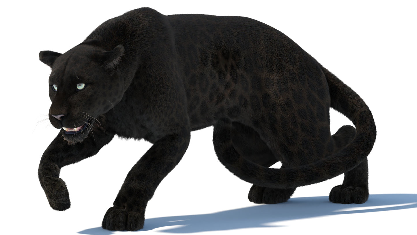 Black Panther 3D Model Rigged Fur