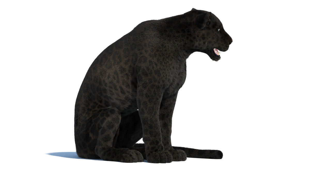Rigged Black Panther 3D Model with Fur
