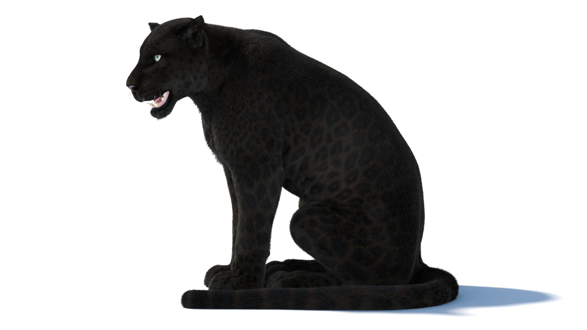 Rigged Black Panther 3D Model with Fur