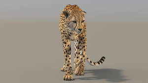 Lifelike Cheetah 3D Model Rigged for download - Game Ready Thumbnail