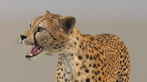Rigged Cheetah 3D Model - Game-Ready Thumbnail