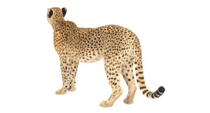 Rigged cheetah 3d model standing on a white background