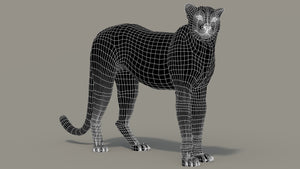 Cheetah 3D Model Rigged Thumbnail