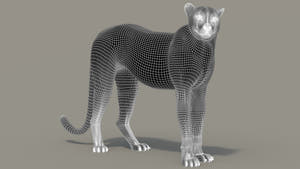 Rigged Cheetah 3D Model - Game-Ready Thumbnail