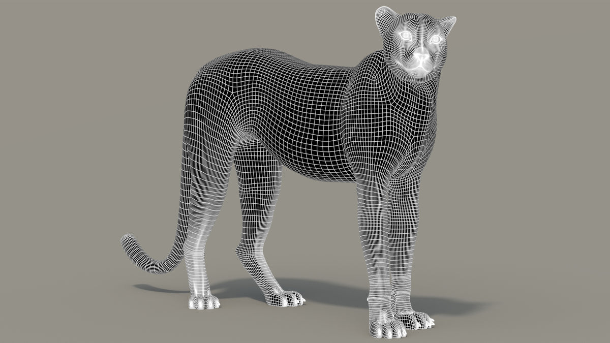 Rigged Cheetah 3D Model - Game-Ready