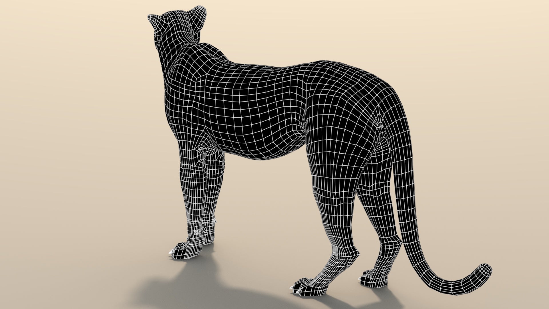 Cheetah 3D Model Rigged