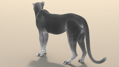 Cheetah 3D Model Rigged