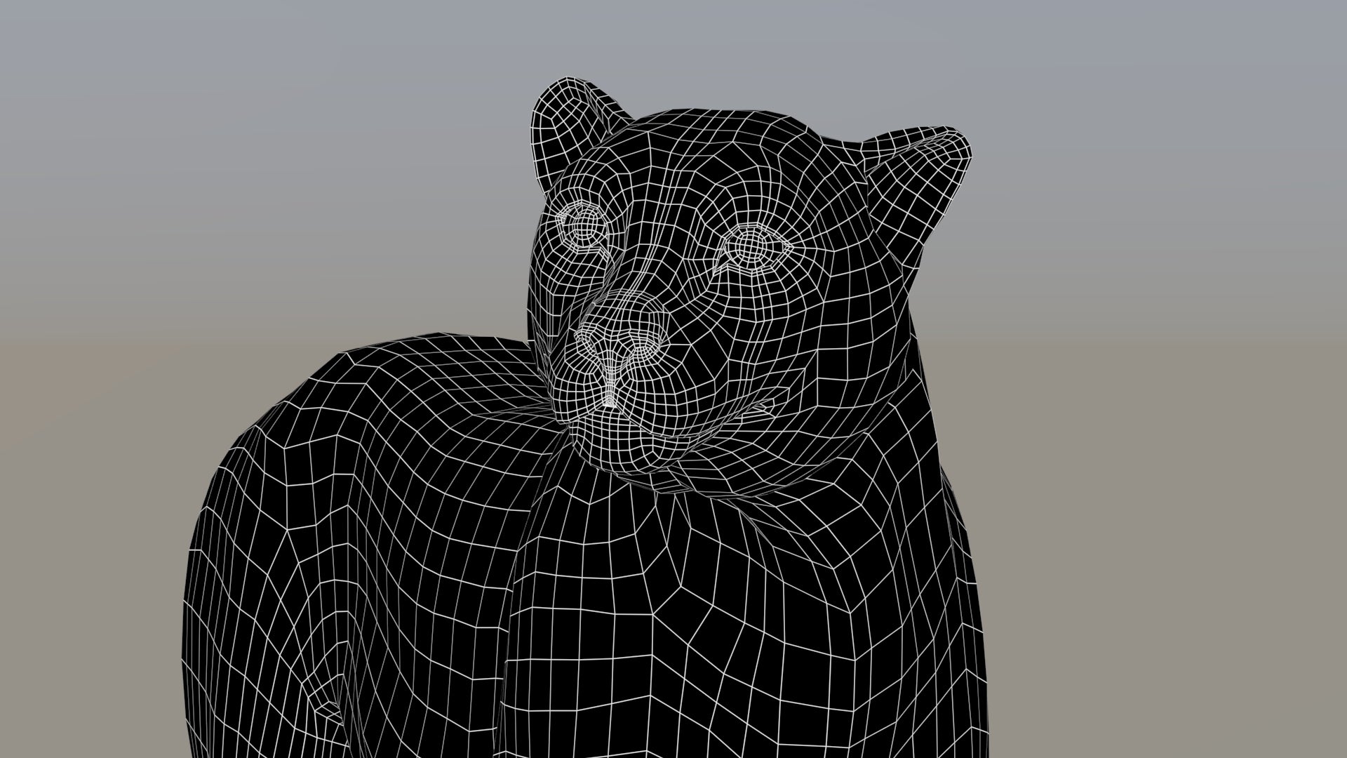 Cheetah 3D Model Rigged