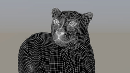 Cheetah 3D Model Rigged