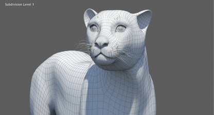 Cheetah 3D Model Rigged Fur