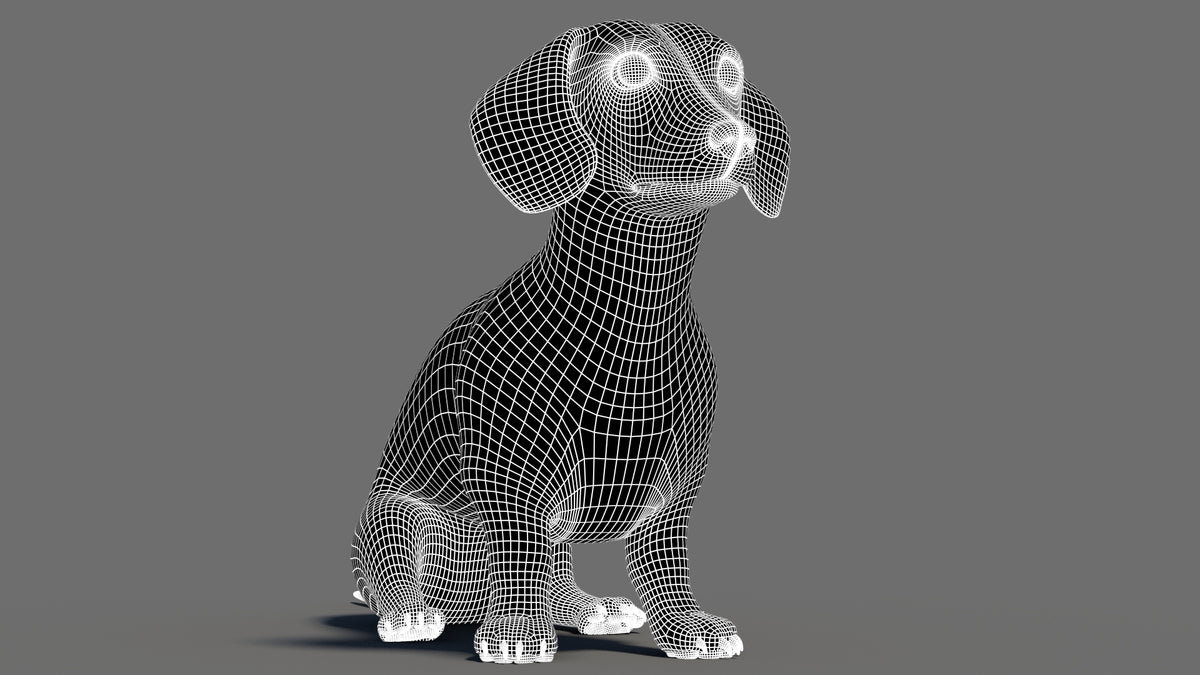 Rigged Black Dachshund Dog 3D Model - Hair and Fur