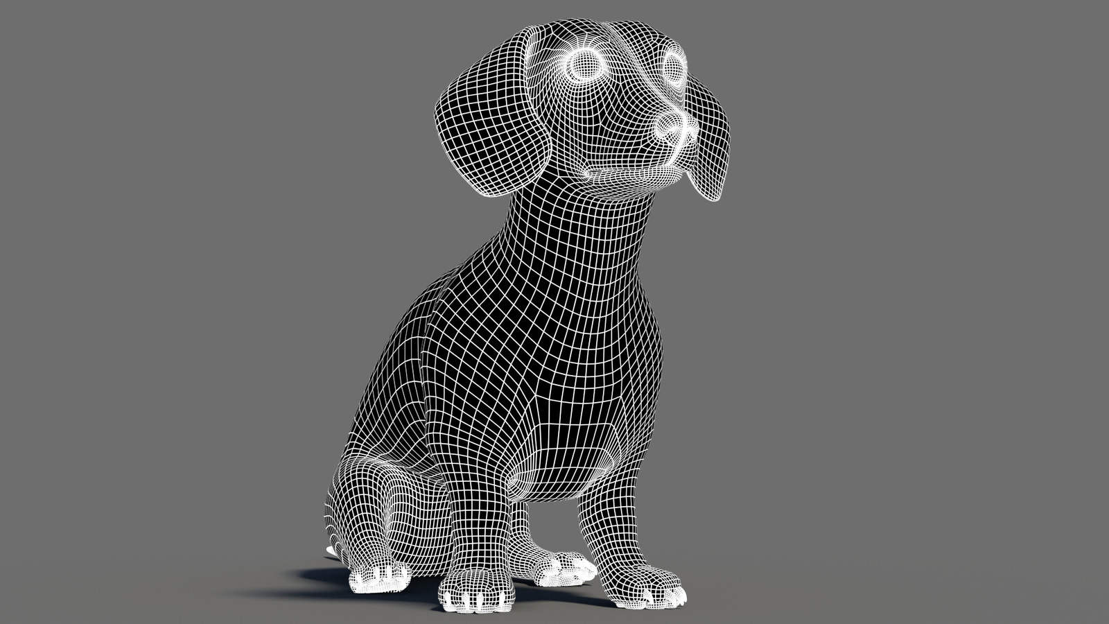Rigged Black Dachshund Dog 3D Model with Fur