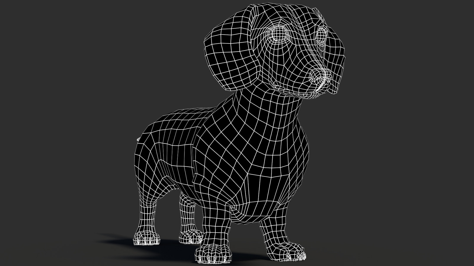 Rigged Black Dachshund Dog 3D Model with Fur
