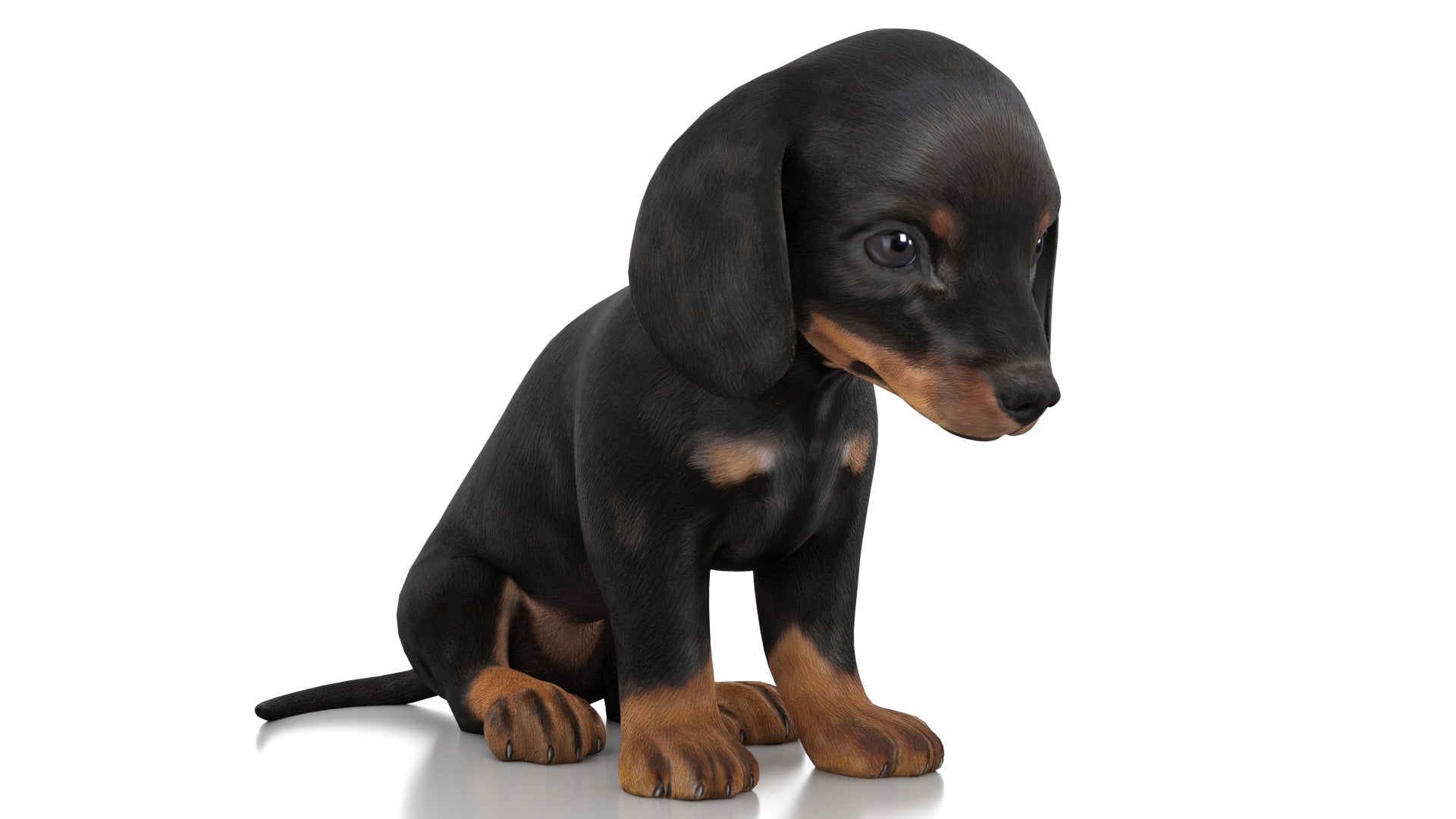 Rigged Dachshund Dog Puppy 3D Model