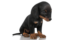 Rigged Dachshund Dog Puppy 3D Model Thumbnail