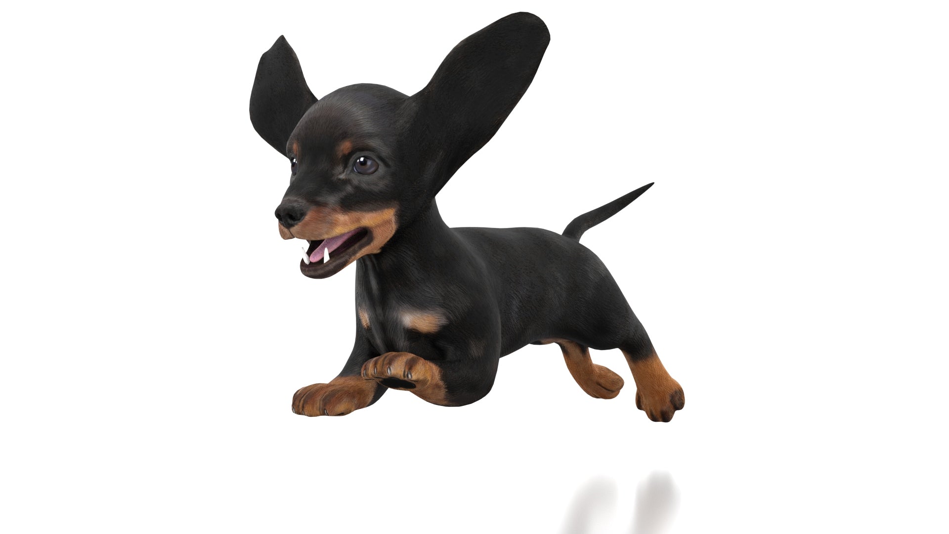 Rigged Dachshund Dog Puppy 3D Model