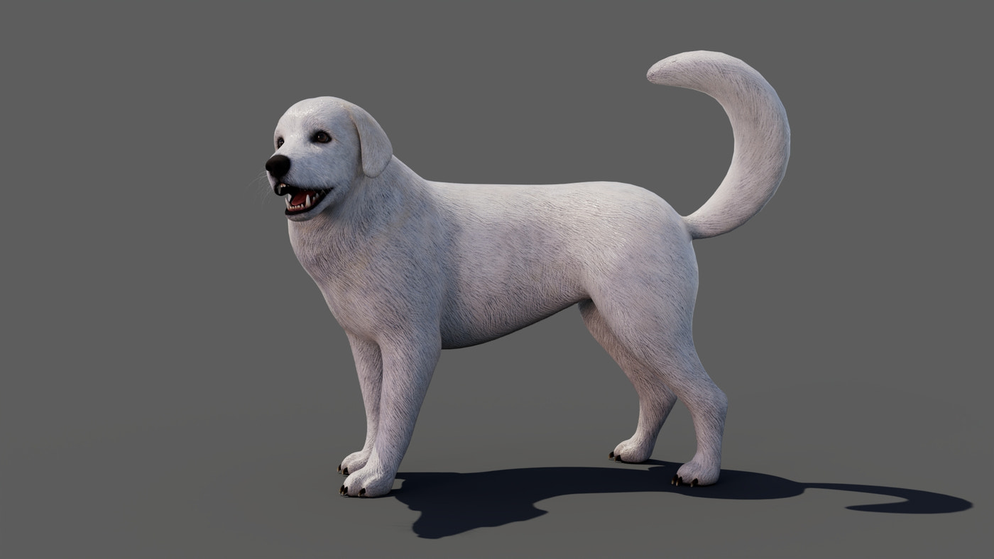 Rigged Great Pyrenees Dog 3D Model - 360 Degree View