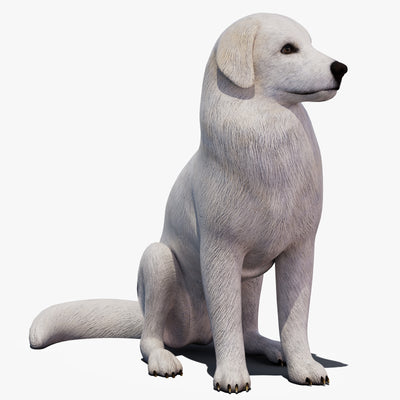 Rigged Great Pyrenees Dog 3D Model