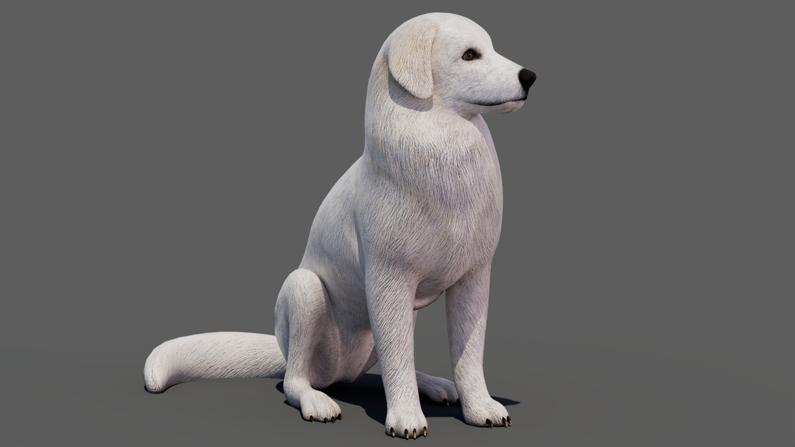 rigged Great Pyrenees dog 3D model cover wide