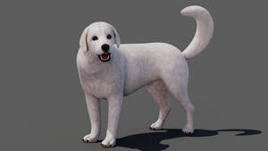 rigged Great Pyrenees dog 3D model Thumbnail