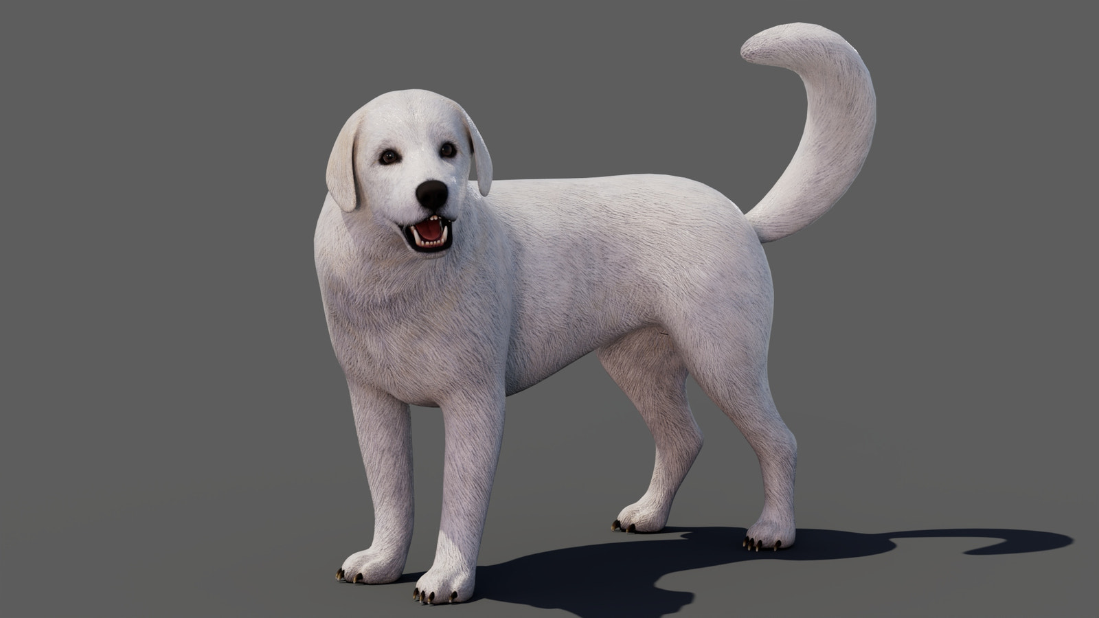 rigged Great Pyrenees dog 3D model