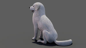 rigged Great Pyrenees dog 3D model Thumbnail
