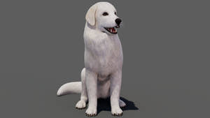 rigged Great Pyrenees dog 3D model Thumbnail
