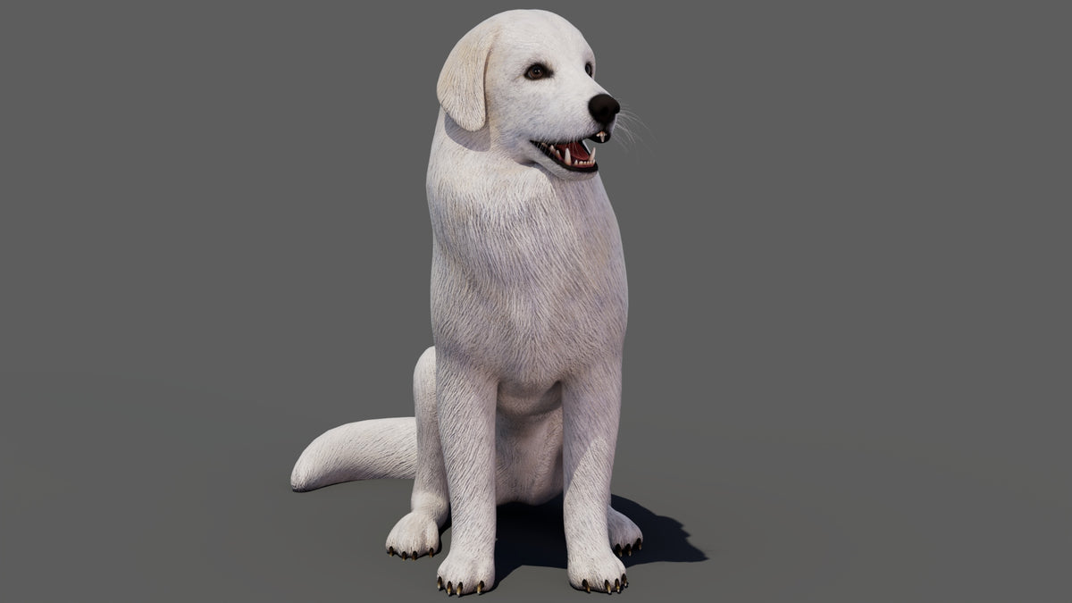 rigged Great Pyrenees dog 3D model