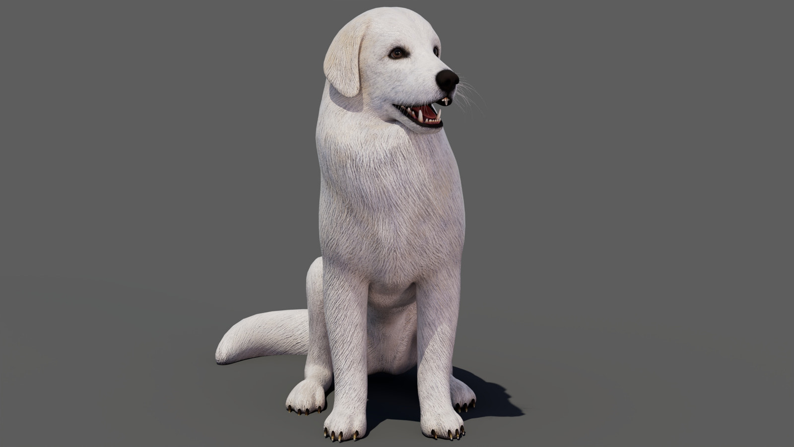 rigged Great Pyrenees dog 3D model