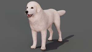 rigged Great Pyrenees dog 3D model Thumbnail