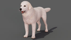 rigged Great Pyrenees dog 3D model Thumbnail