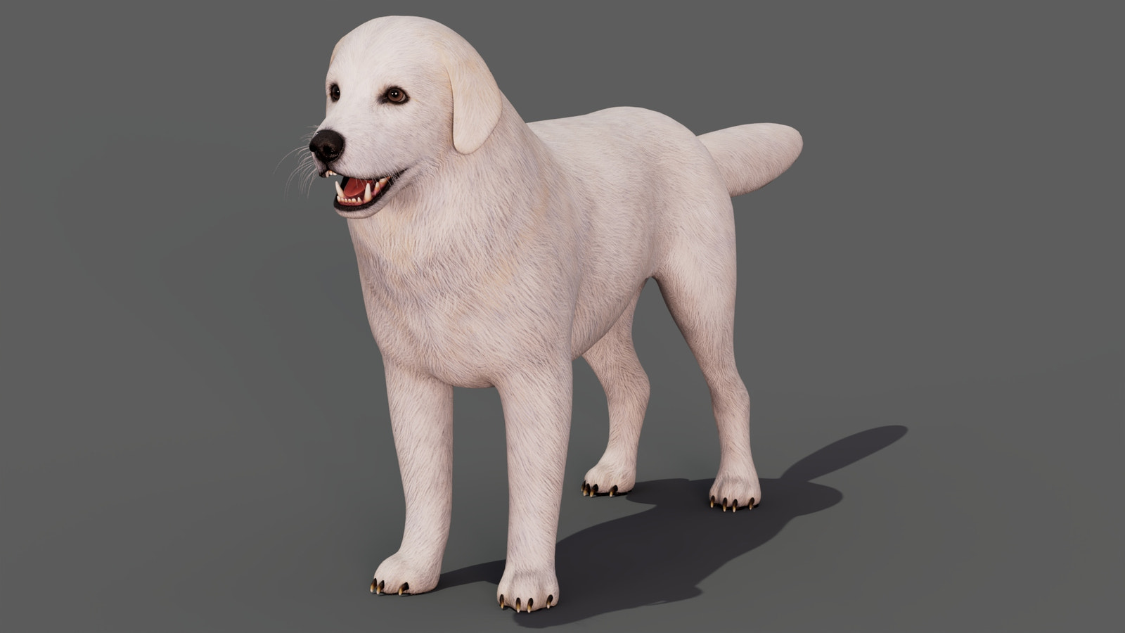 rigged Great Pyrenees dog 3D model