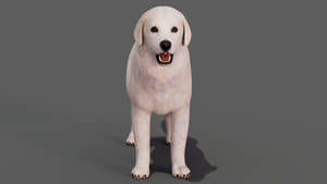 rigged Great Pyrenees dog 3D model Thumbnail