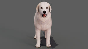 rigged Great Pyrenees dog 3D model Thumbnail