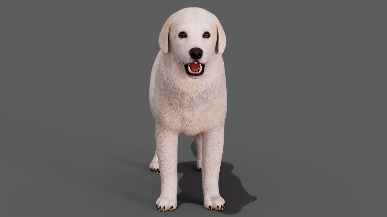 rigged Great Pyrenees dog 3D model