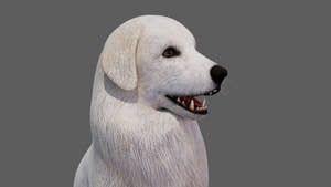 rigged Great Pyrenees dog 3D model head close up Thumbnail