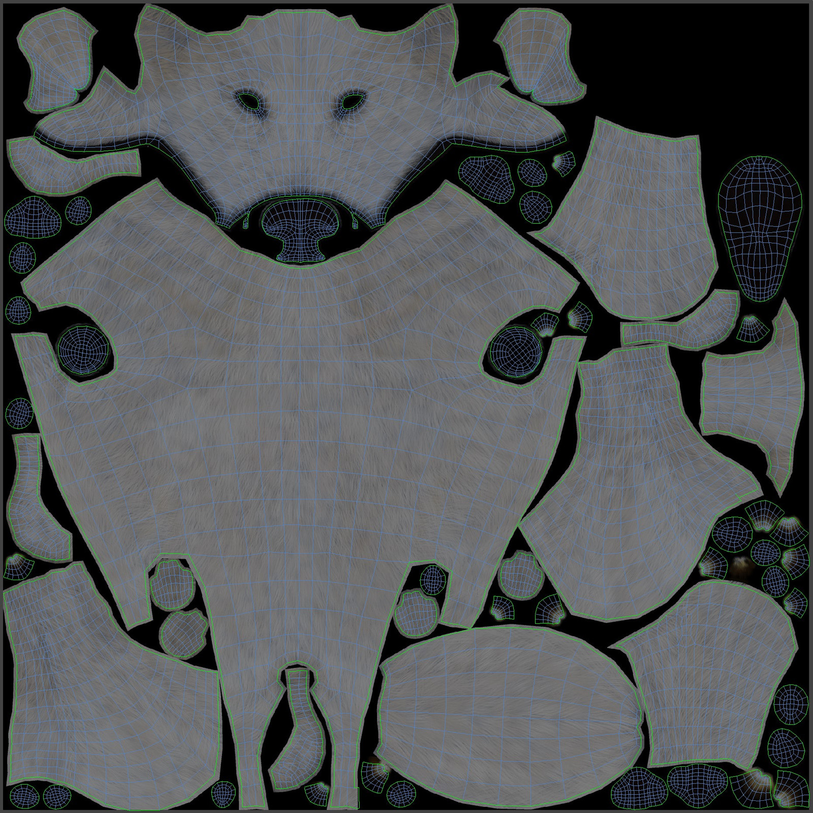 Great Pyrenees dog 3D model UVs