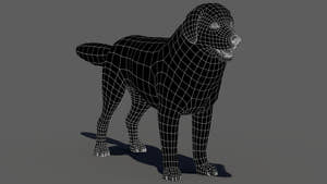 rigged Great Pyrenees dog 3D model wireframe view Thumbnail