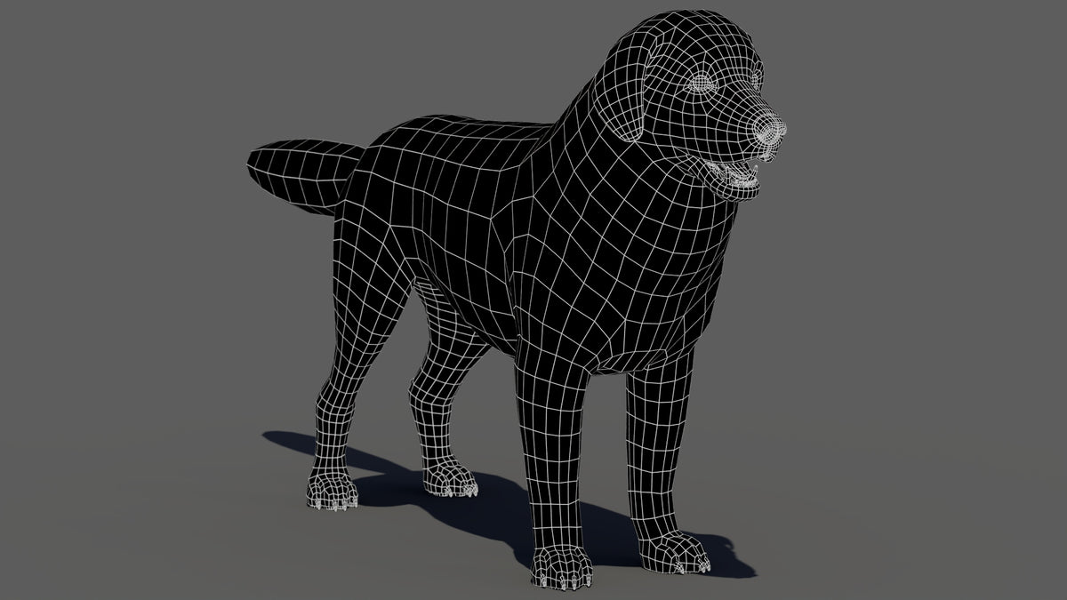 rigged Great Pyrenees dog 3D model wireframe view