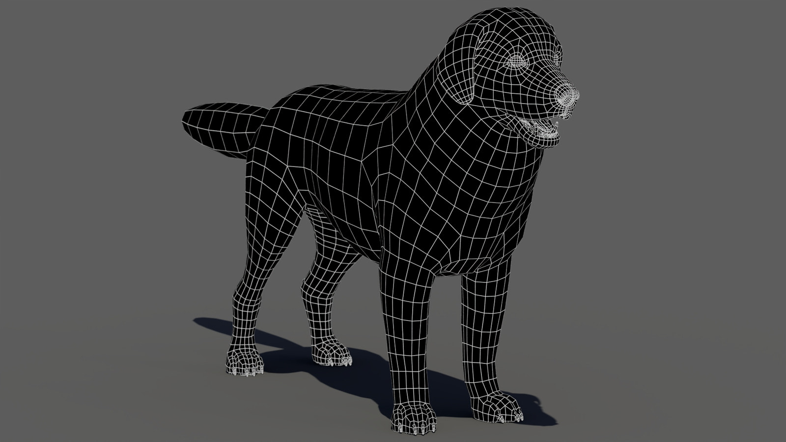 rigged Great Pyrenees dog 3D model wireframe view