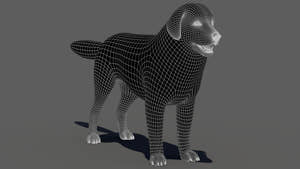 rigged Great Pyrenees dog 3D model wireframe view Thumbnail