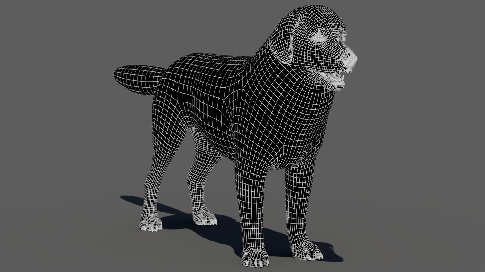 rigged Great Pyrenees dog 3D model wireframe view