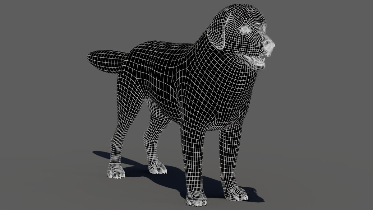 Great Pyrenees 3D model wireframe, quads-only topology