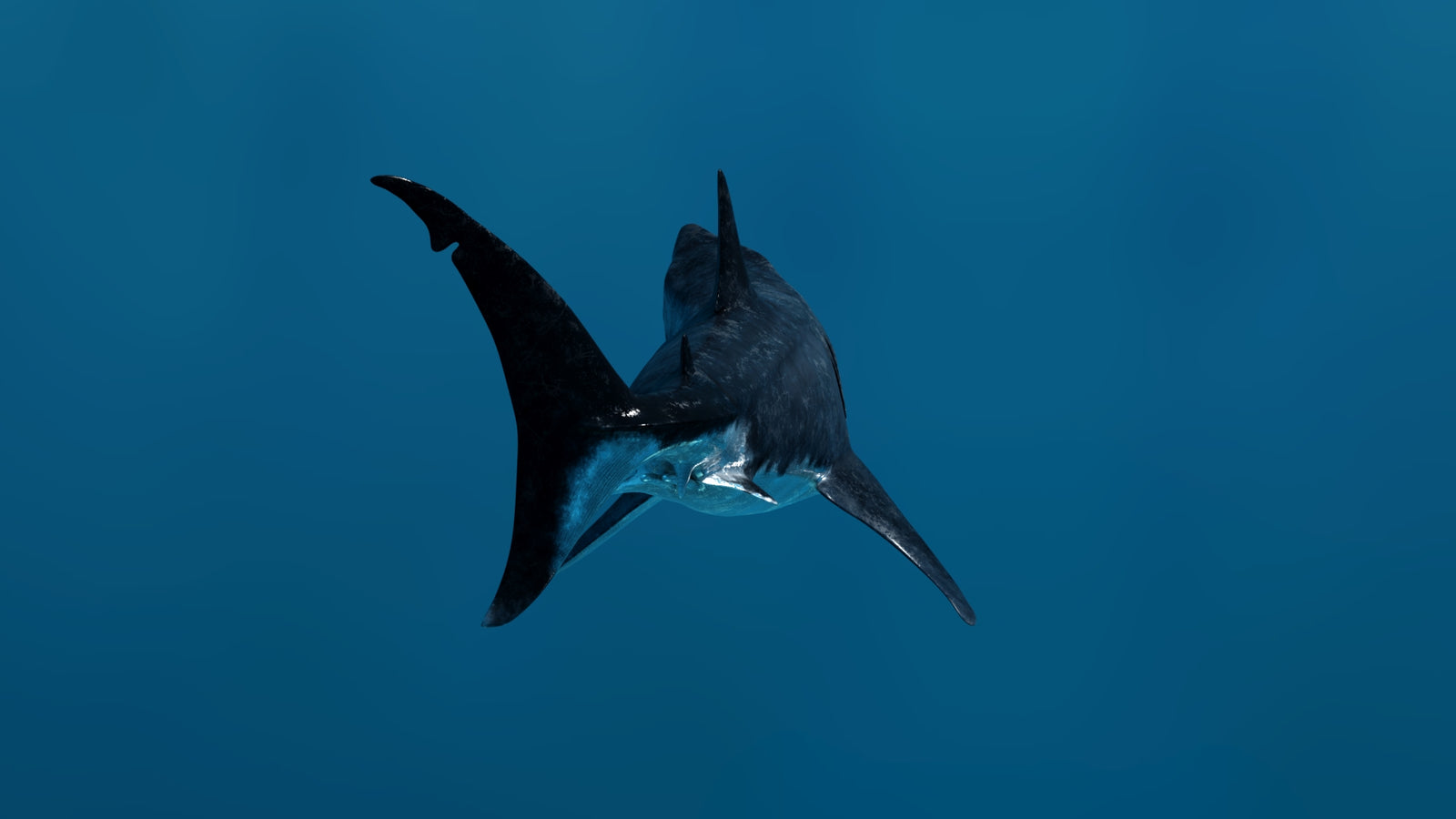 Animated Great White Shark 3D Model 360° view 3 frame 26