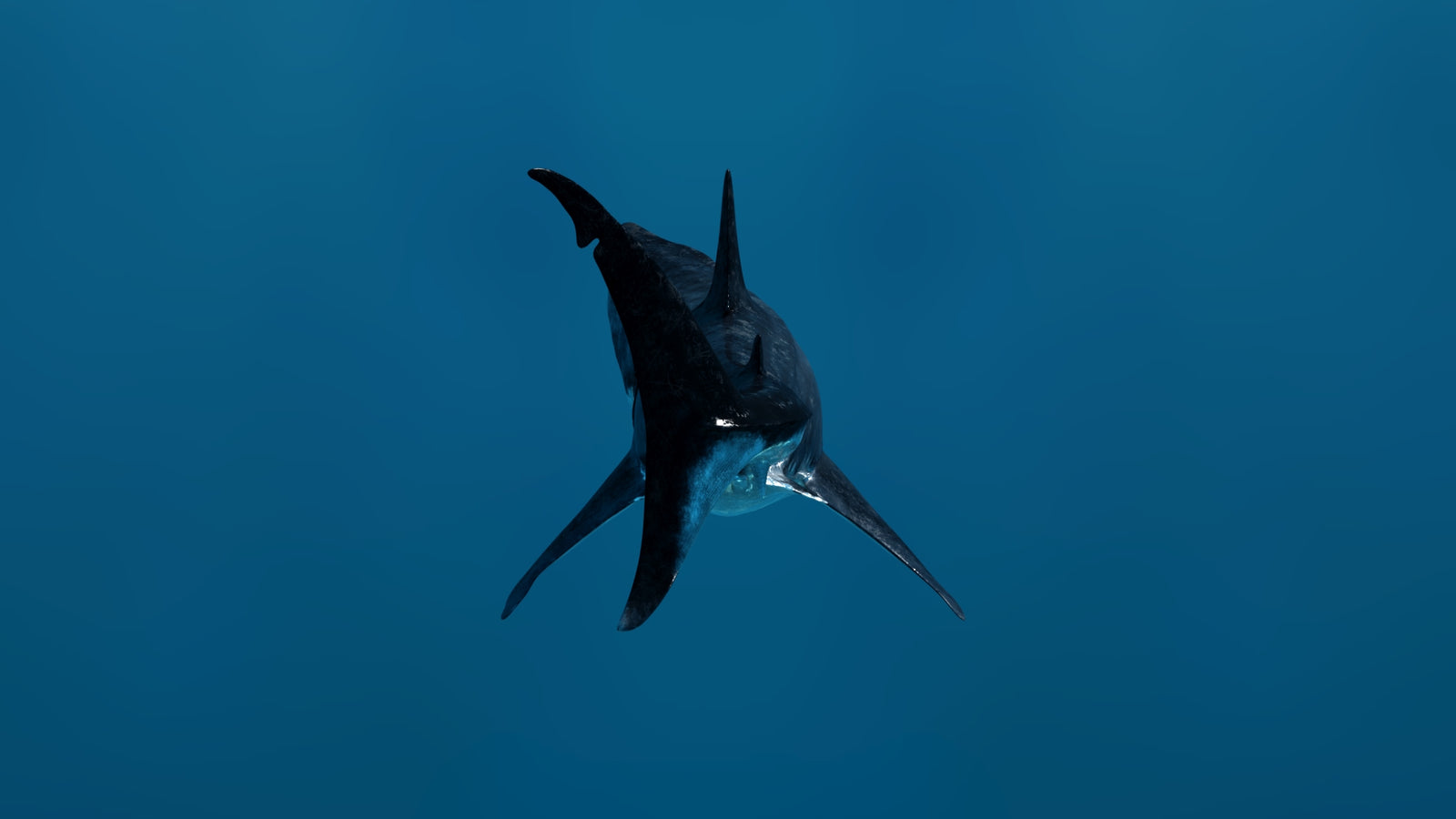 Animated Great White Shark 3D Model 360° view 3 frame 27