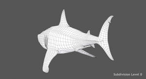  Great White Shark 3D Model Wireframe View 2 Thumbnail