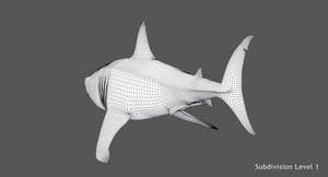  Great White Shark 3D Model Wireframe View 3 Thumbnail